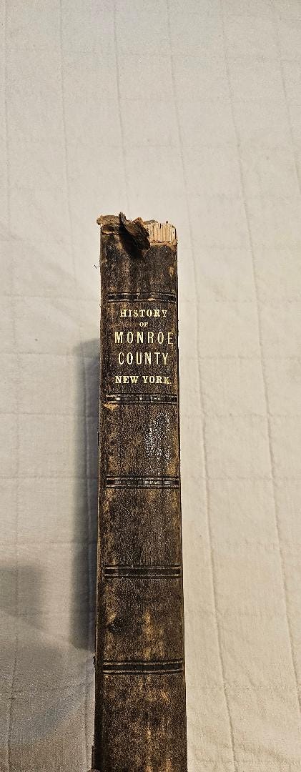 1788 History of Monroe County NY With Illustrations 1877